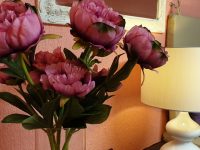 From 05.07.21 the Sofia salon will resume its work!