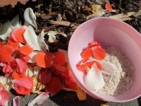 Sejas skrubis no auzu pārslām + sejas masāža, lai attīrītu ādu