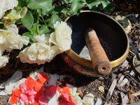 Авторская программа Марины Карповой – Гармонизация Чакр