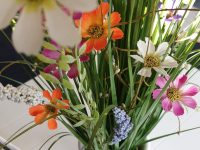 С 15.11.21 салон София возобновит свою работу!