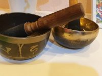 Аюрведическая программа