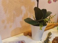 Массаж для здоровья и хорошего самочуствия